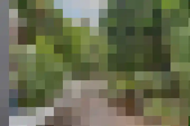 Laatbankstraat 25 Vaals thumbnail 35