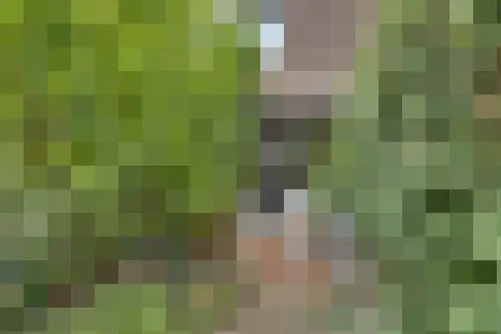 Laatbankstraat 25 Vaals thumbnail 38