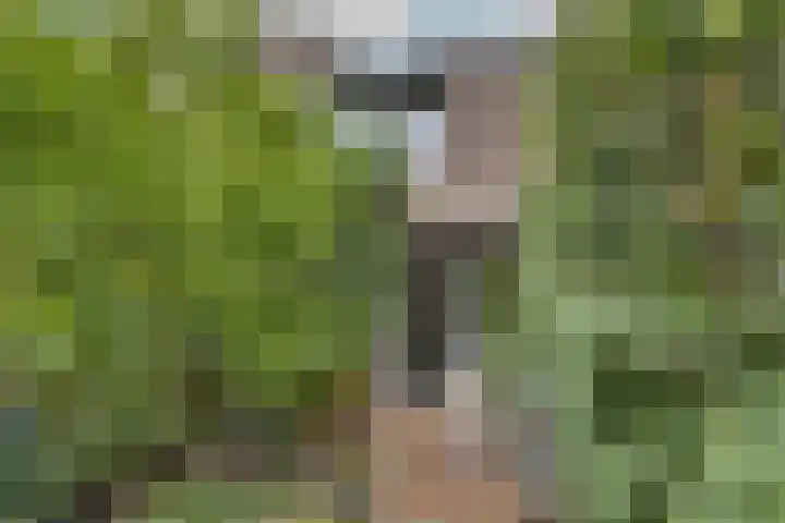 Laatbankstraat 25 Vaals thumbnail 39