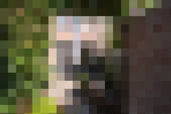 Laatbankstraat 42 Vaals thumbnail 20