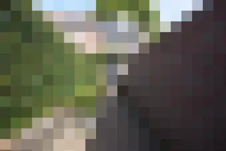 Laatbankstraat 42 Vaals thumbnail 21