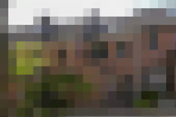Laatbankstraat 42 Vaals thumbnail 24