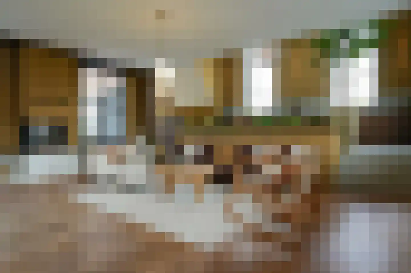 Laathoeve 28 Helmond thumbnail 21