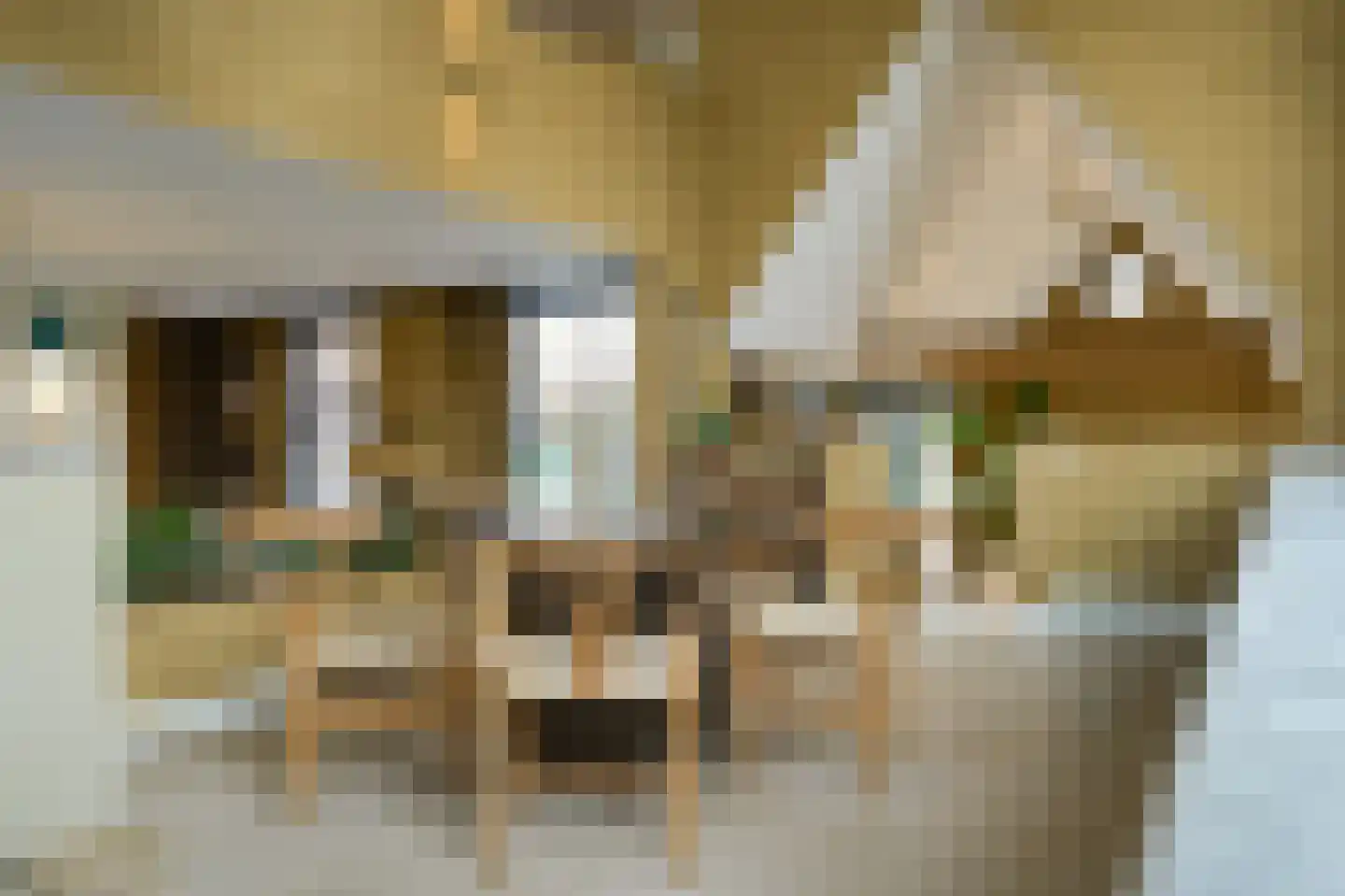 Laathoeve 28 Helmond thumbnail 30