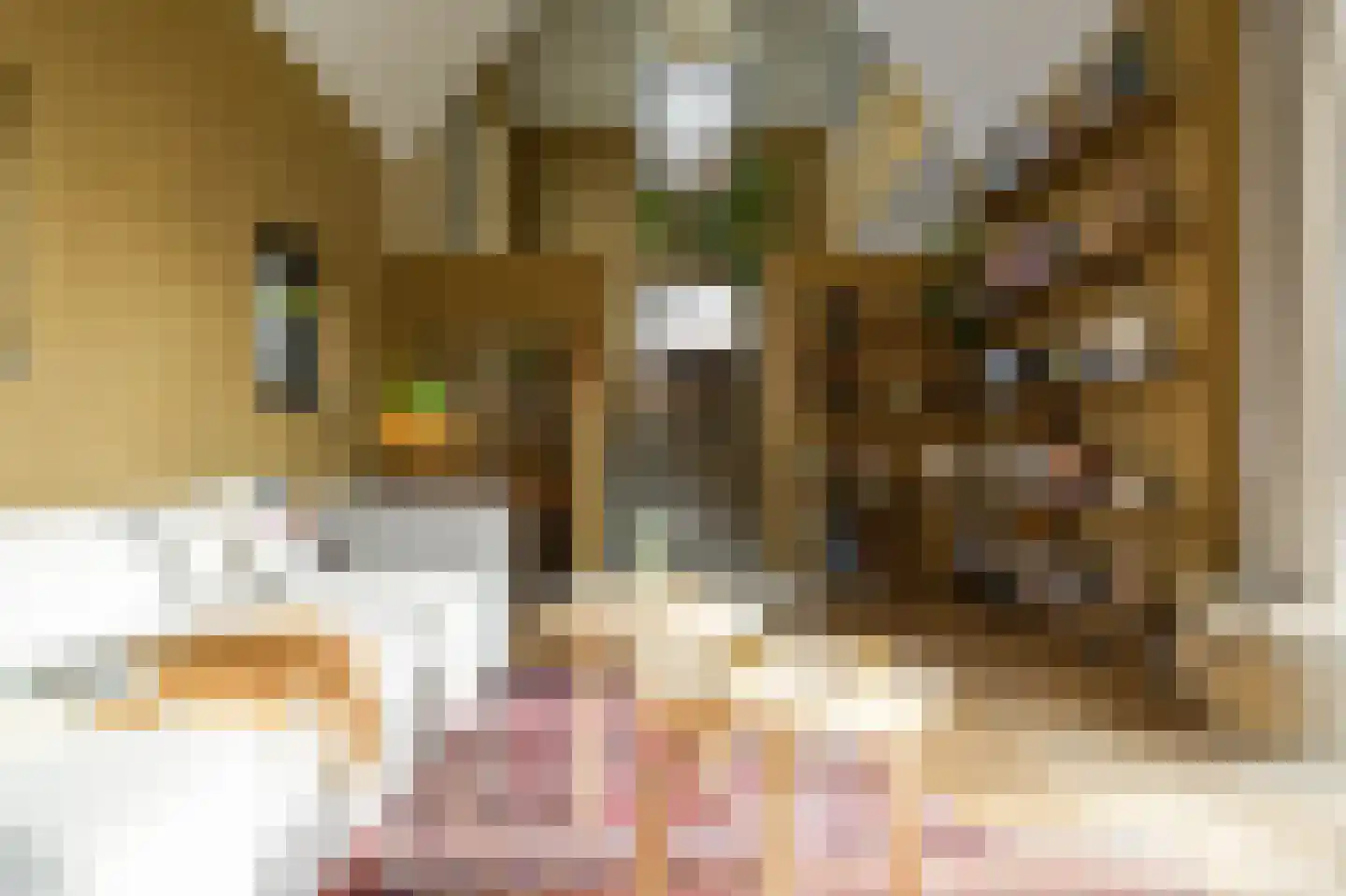 Laathoeve 28 Helmond thumbnail 34