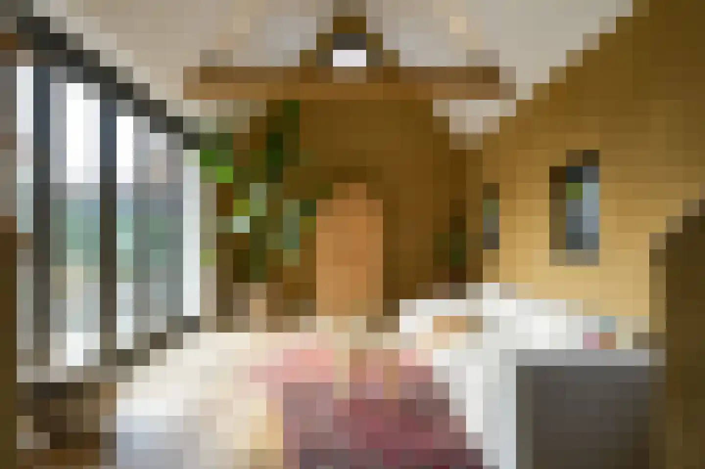Laathoeve 28 Helmond thumbnail 35