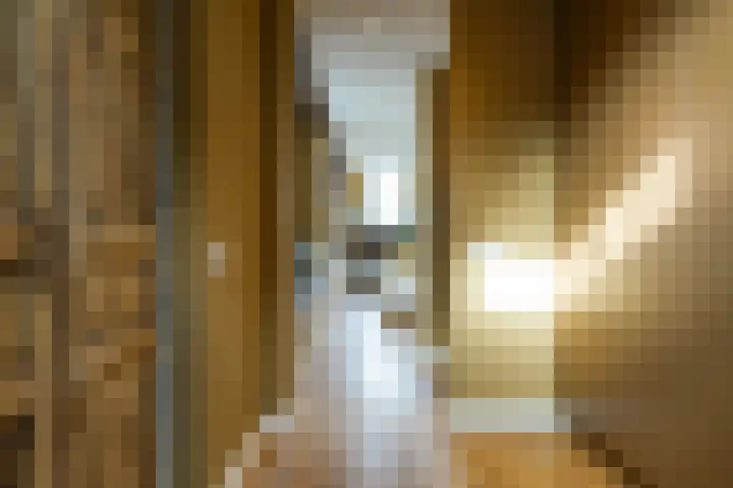 Laathoeve 28 Helmond thumbnail 36