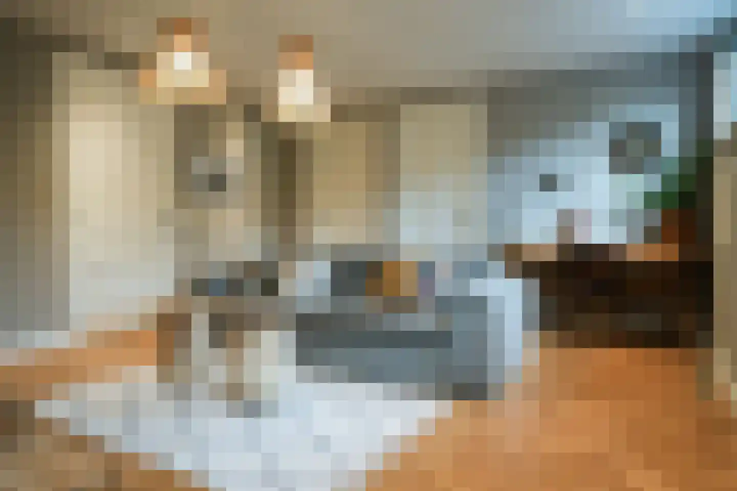 Laathoeve 28 Helmond thumbnail 44