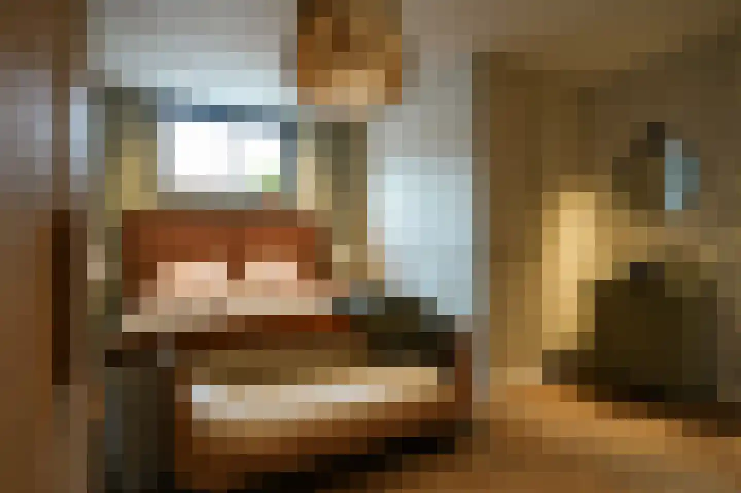 Laathoeve 28 Helmond thumbnail 46