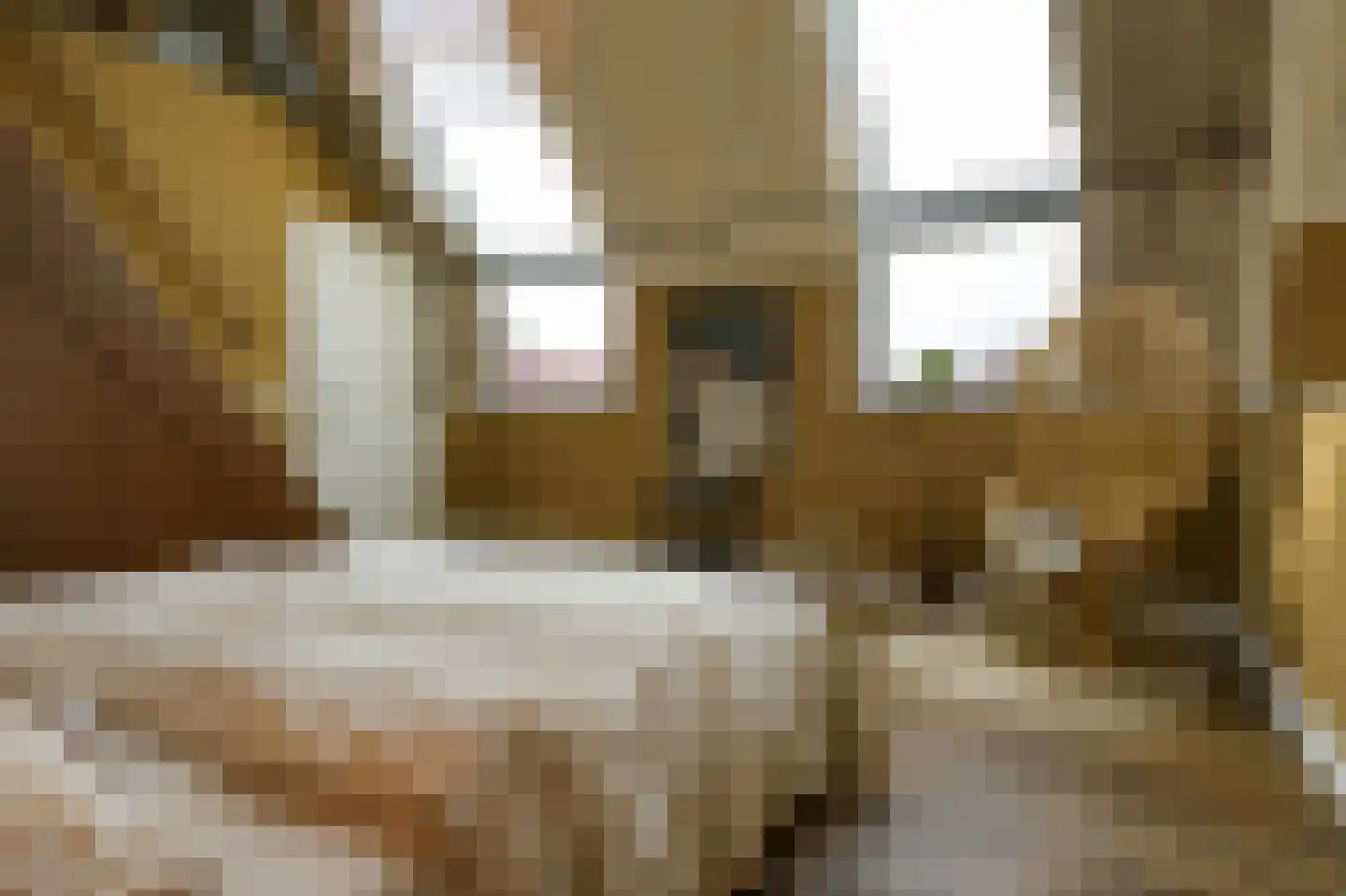 Laathoeve 28 Helmond thumbnail 61
