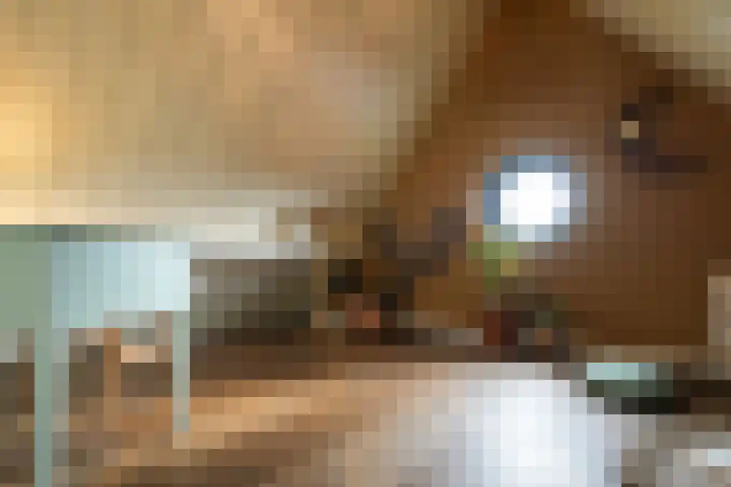 Laathoeve 28 Helmond thumbnail 77
