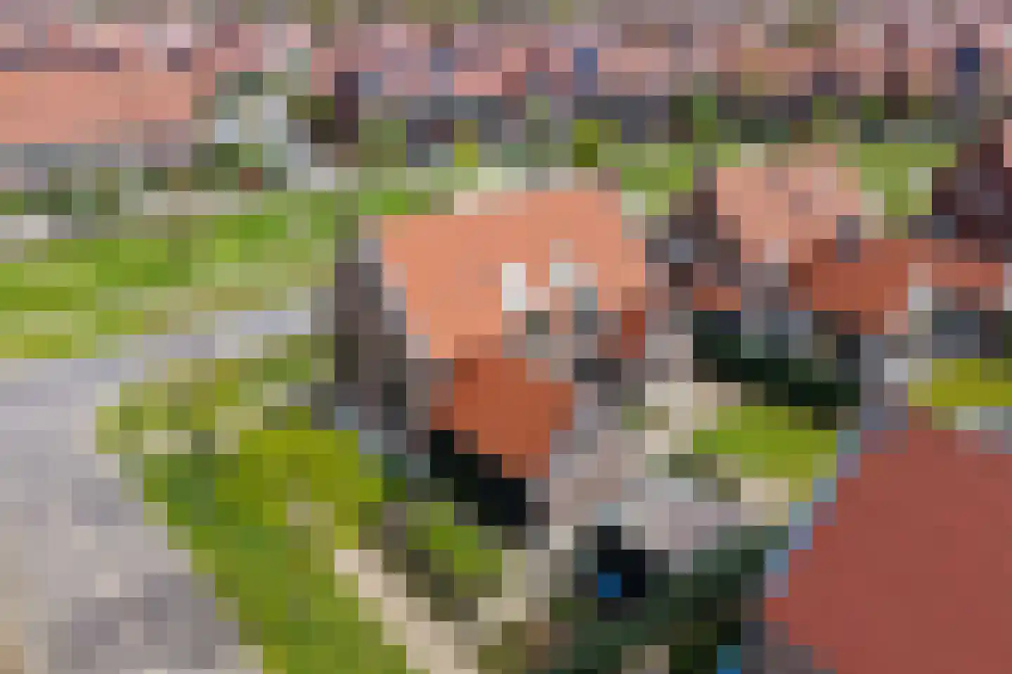 Laathoeve 28 Helmond thumbnail 8