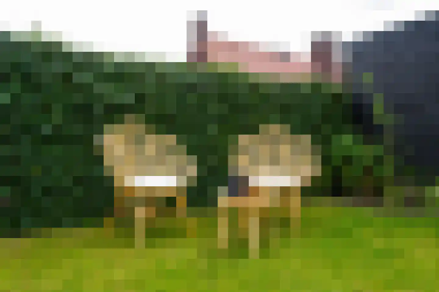 Laathoeve 28 Helmond thumbnail 83