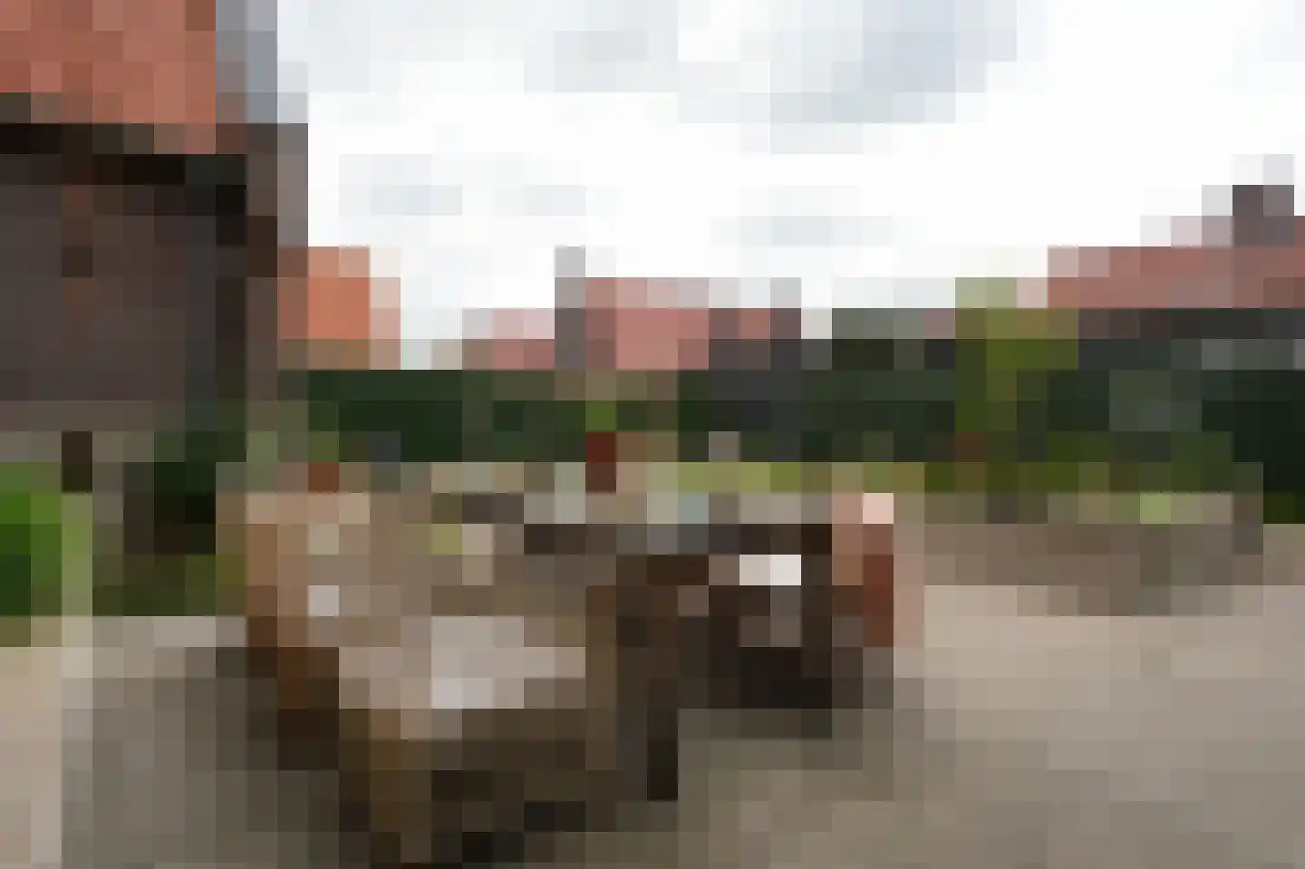 Laathoeve 28 Helmond thumbnail 84