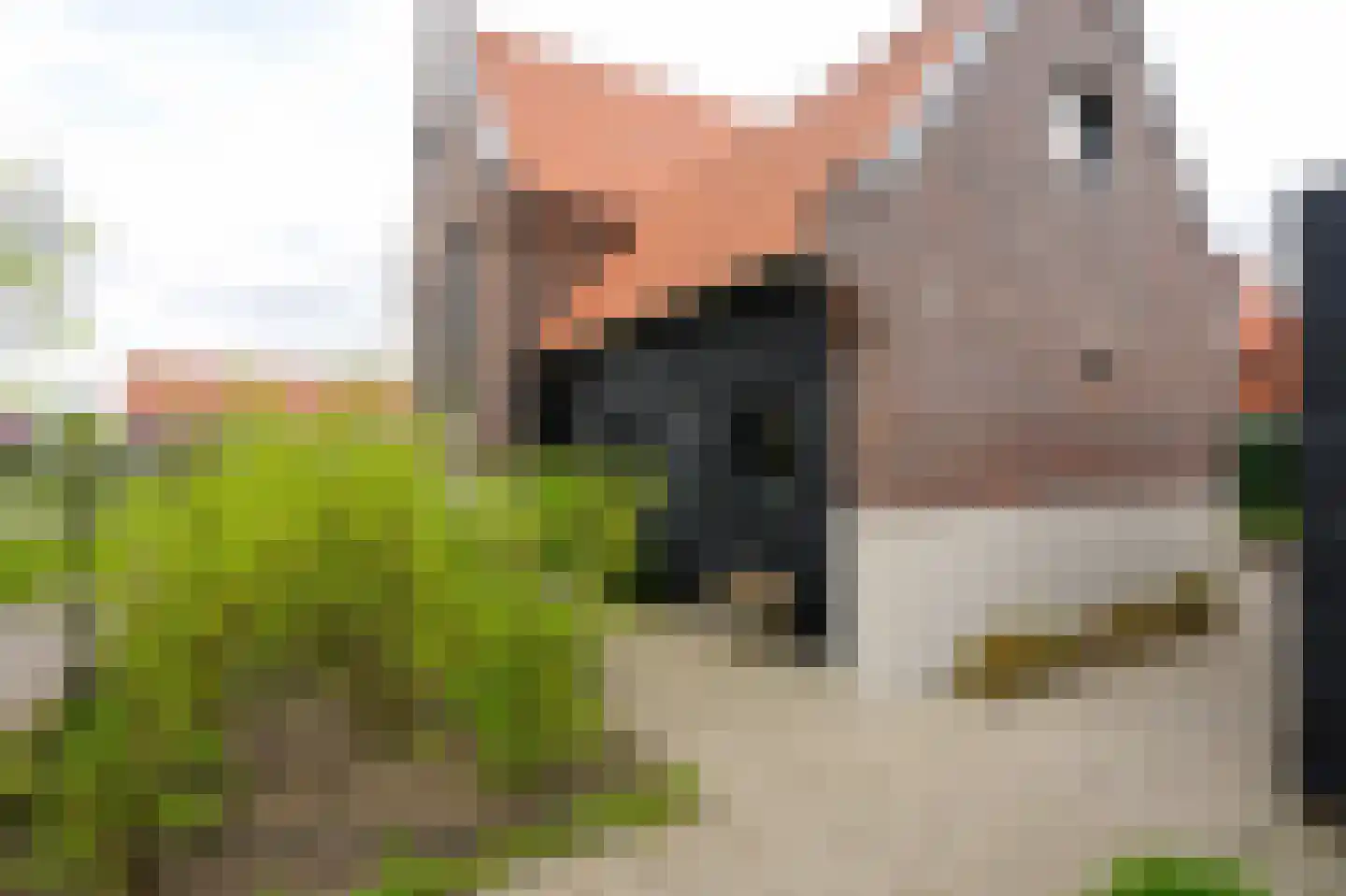 Laathoeve 28 Helmond thumbnail 86