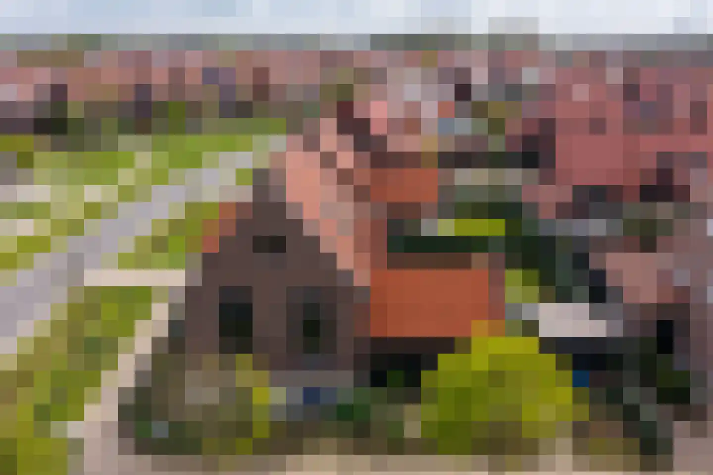 Laathoeve 28 Helmond thumbnail 9
