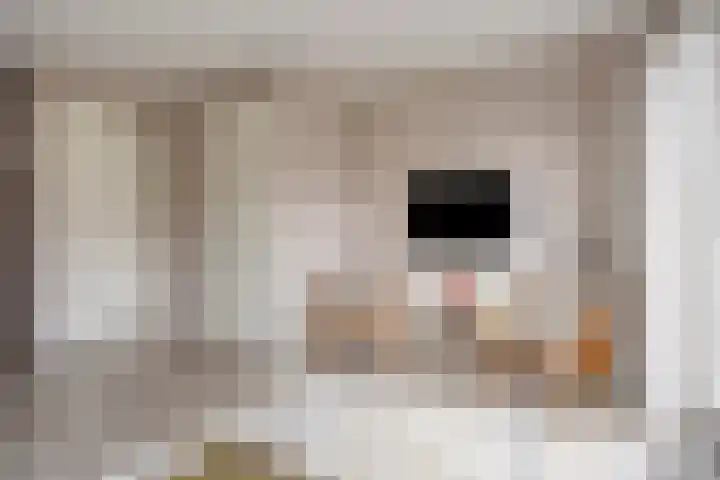 Laathoeve 43 Helmond thumbnail 13