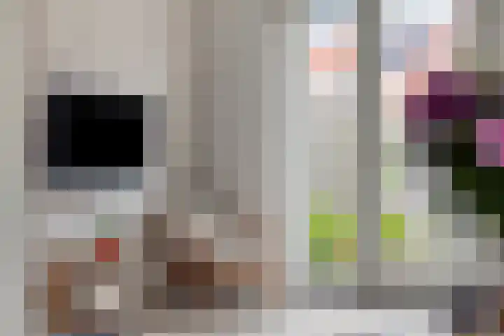 Laathoeve 43 Helmond thumbnail 15