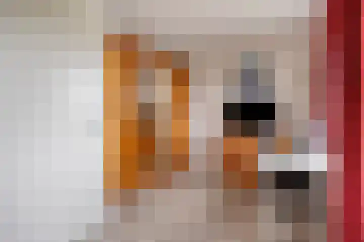 Laathoeve 43 Helmond thumbnail 26