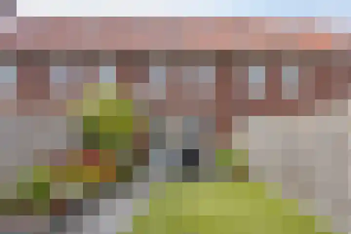 Laathoeve 43 Helmond thumbnail 32