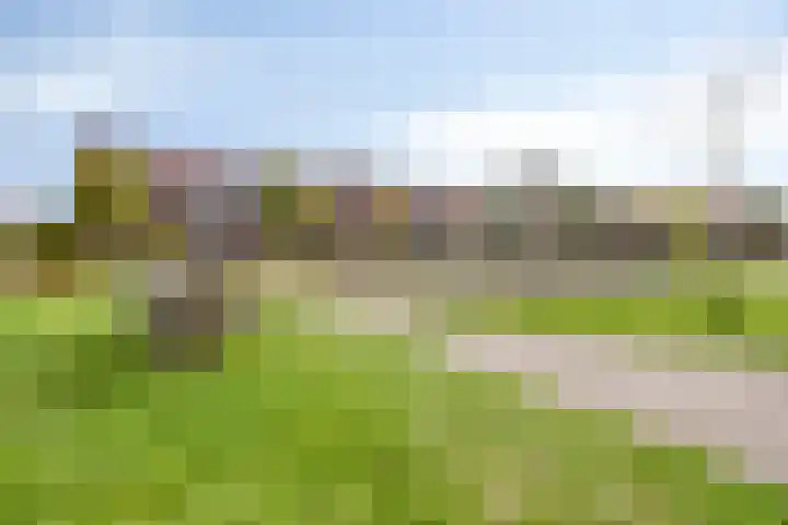 Laathoeve 43 Helmond thumbnail 33