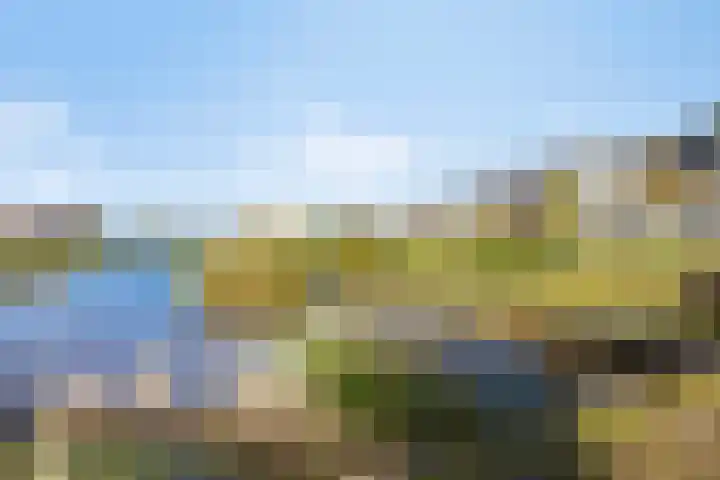 Laathoeve 43 Helmond thumbnail 34