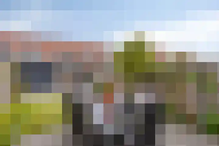 Laathoeve 43 Helmond thumbnail 6