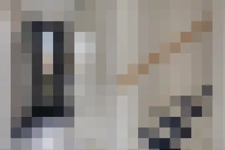 Laathoeve 43 Helmond thumbnail 9