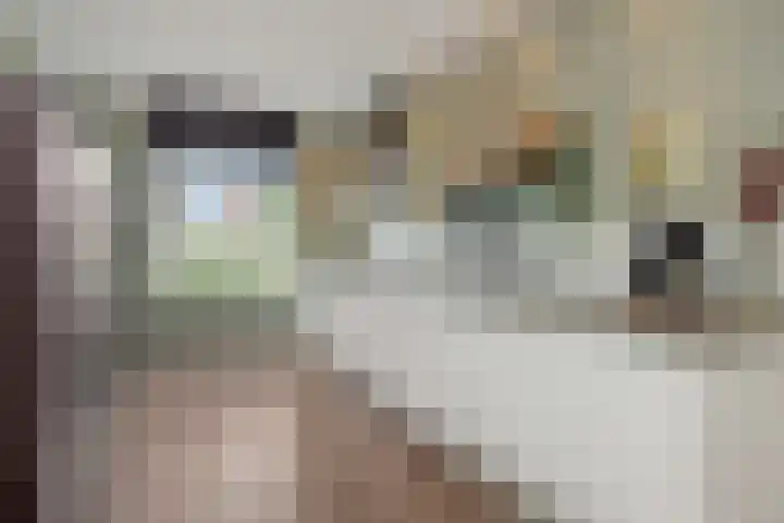 Laathoeve 57 Helmond thumbnail 21