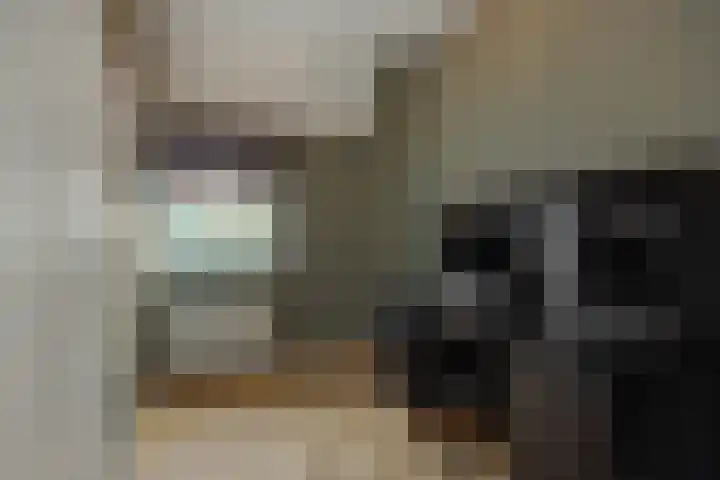 Laathoeve 57 Helmond thumbnail 27