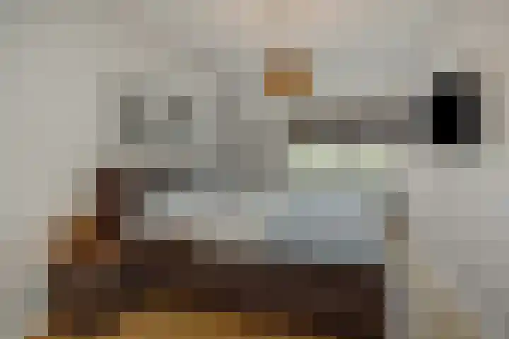 Laathoeve 57 Helmond thumbnail 28