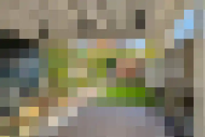 Laathoeve 57 Helmond thumbnail 38