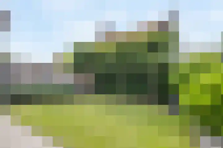 Laathoeve 58 Helmond thumbnail 14