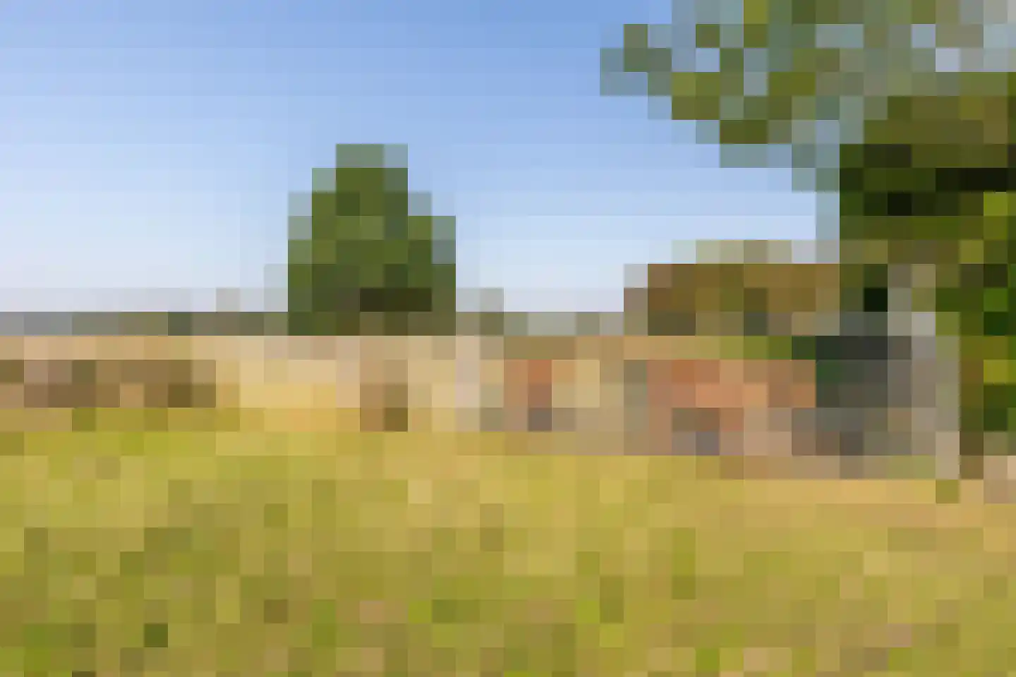 Laathoeve 58 Helmond thumbnail 18