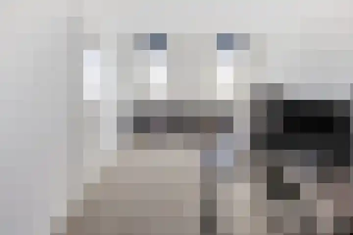Laathoeve 58 Helmond thumbnail 27