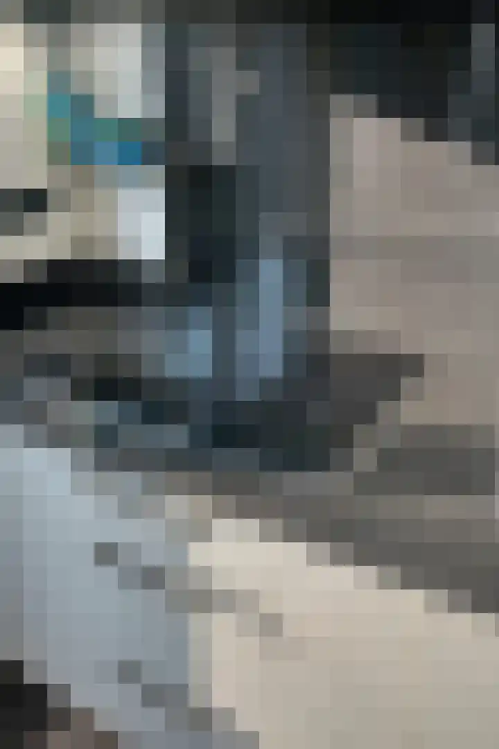 Laathoeve 58 Helmond thumbnail 34