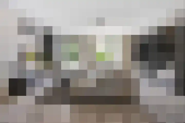 Laathoeve 58 Helmond thumbnail 4