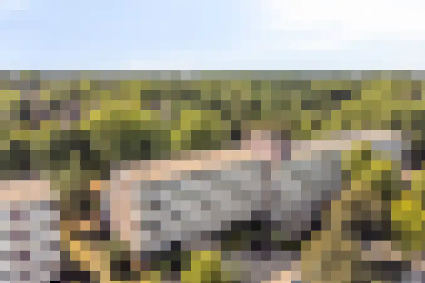 Laathof 103 Ede thumbnail 35