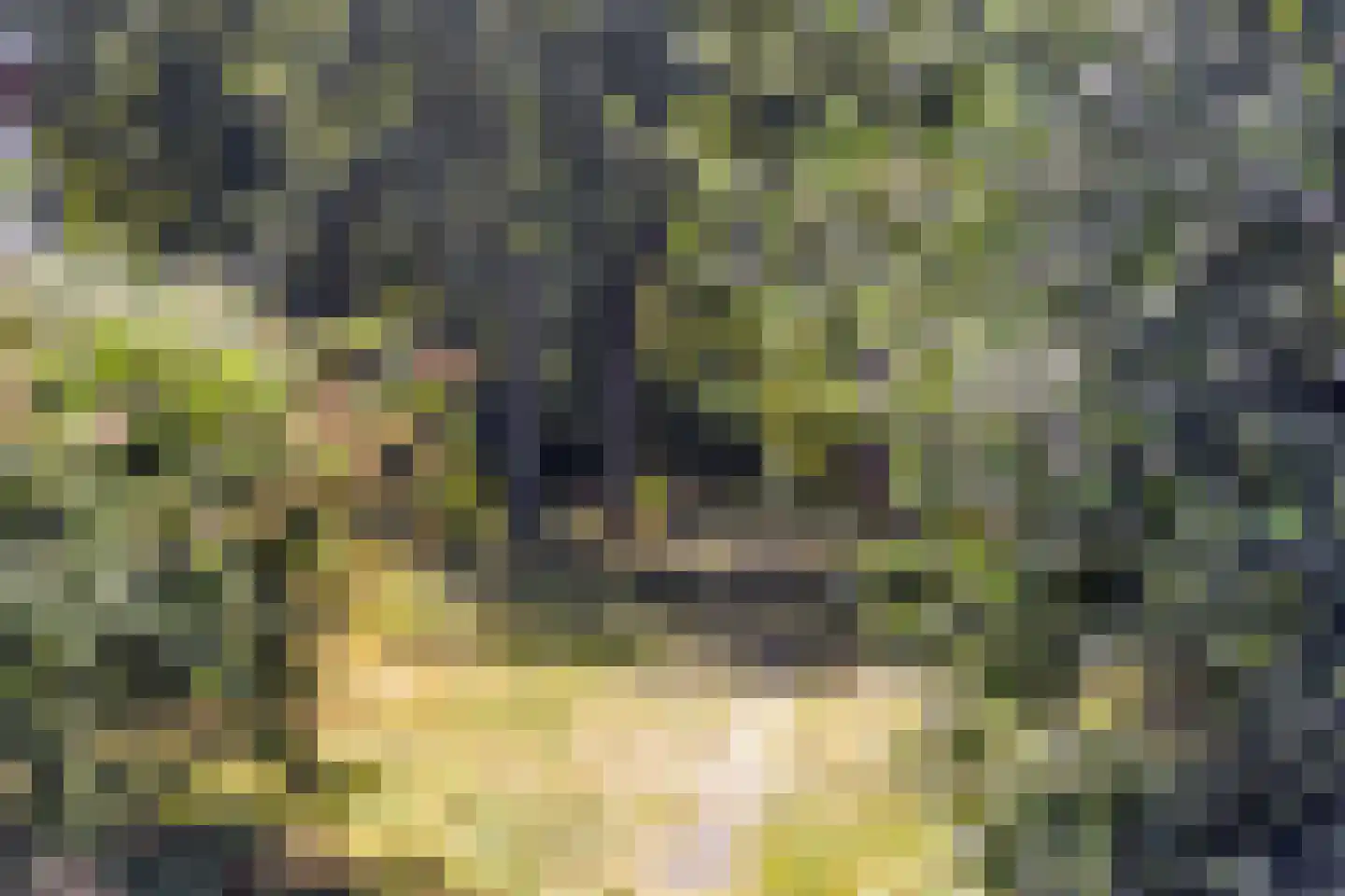 Laathof 103 Ede thumbnail 37