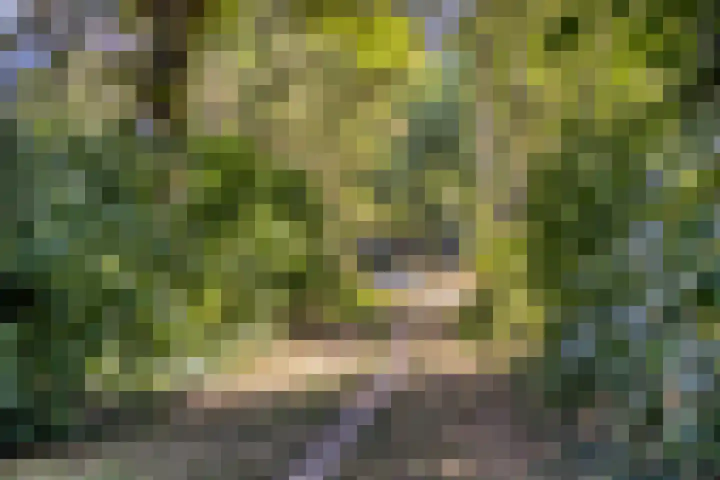 Laathof 103 Ede thumbnail 38