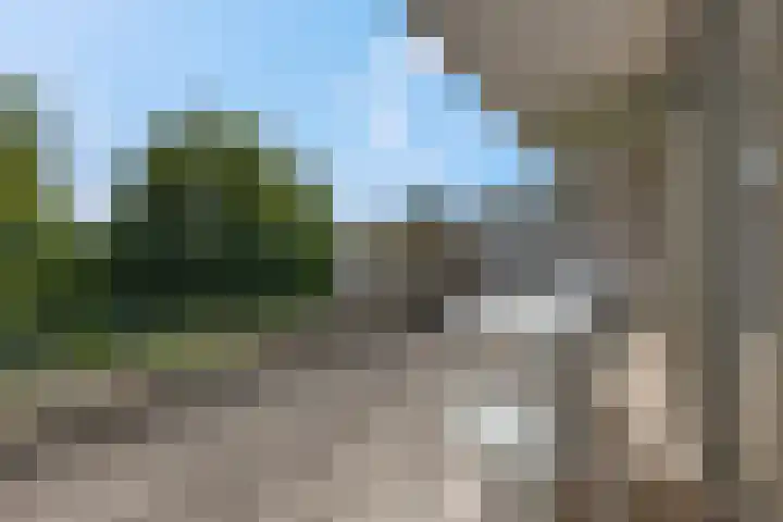 Laathof 119 Ede thumbnail 15