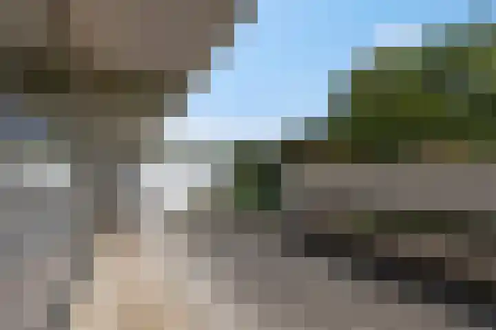 Laathof 119 Ede thumbnail 16