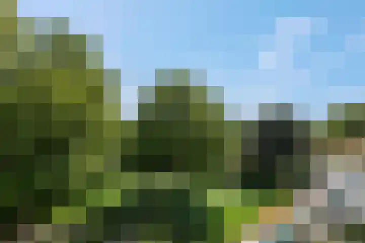 Laathof 119 Ede thumbnail 17