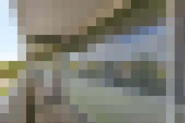 Laathof 119 Ede thumbnail 18