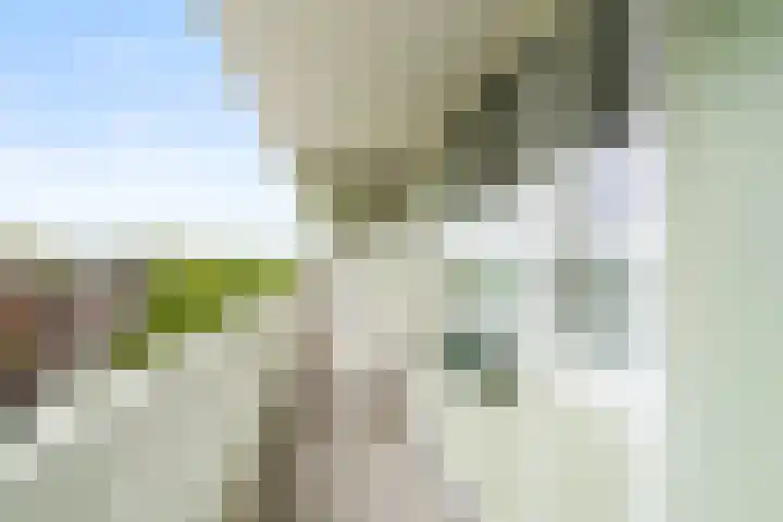 Laathof 137 Ede thumbnail 16