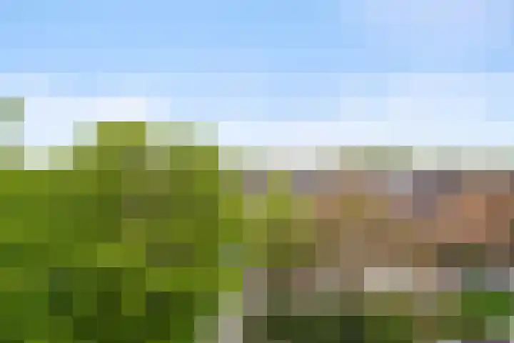 Laathof 137 Ede thumbnail 17