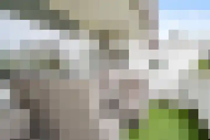 Laathof 137 Ede thumbnail 36