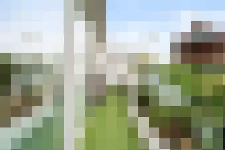Laathof 137 Ede thumbnail 38