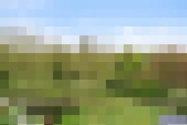 Laathof 137 Ede thumbnail 39