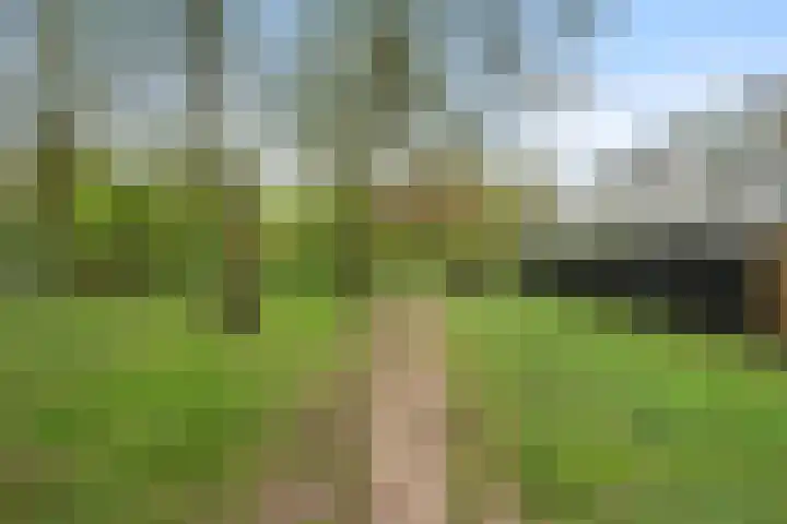 Laathof 137 Ede thumbnail 4